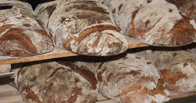 Boulangeries solidaires en ville : l’essor qui redonne du sens au pain